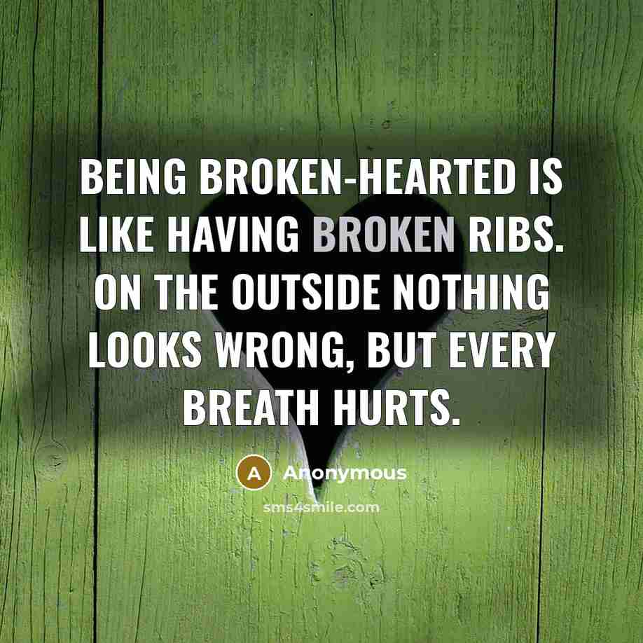 “Being broken-hearted is like having broken ribs. On the outside nothing looks wrong, but every breath hurts.” quote by Anonymous