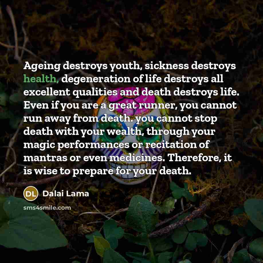 “Ageing destroys youth, sickness destroys health, degeneration of life destroys…” quote by Dalai Lama