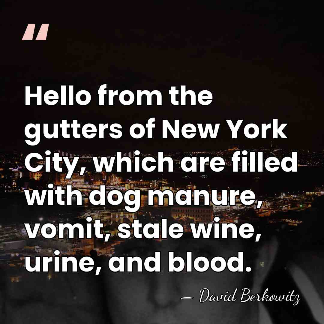 Hello from the gutters of New York City, which are filled with&hellip; - David Berkowitz