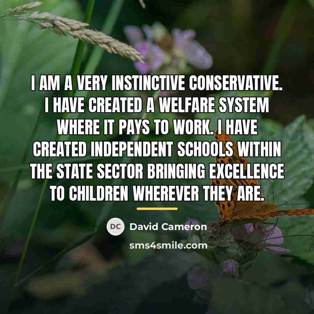 “I am a very instinctive Conservative. I have created a…” quote by David Cameron