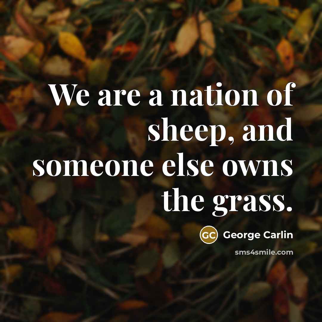 “We are a nation of sheep, and someone else owns…” quote by George Carlin