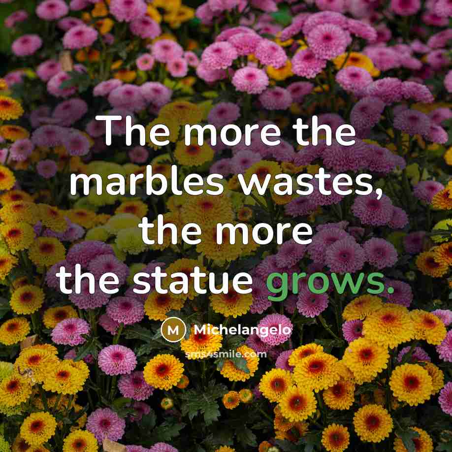 “The more the marbles wastes, the more the statue grows.” quote by Michelangelo