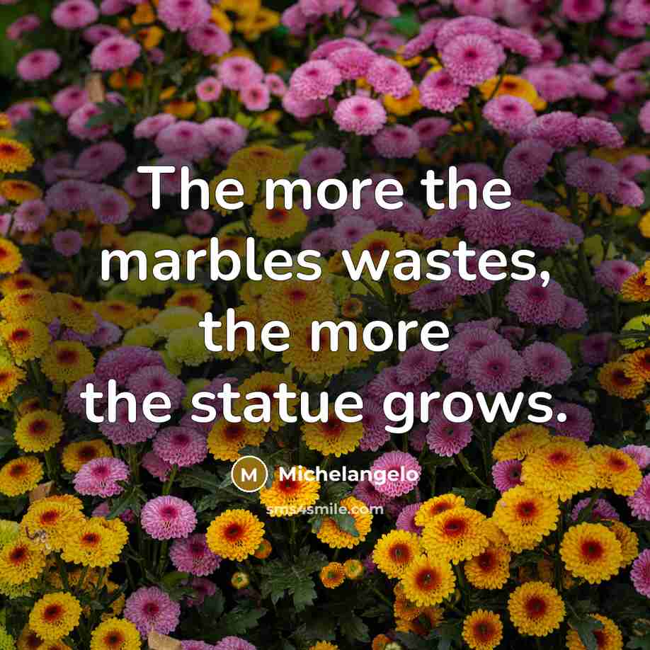 “The more the marbles wastes, the more the statue grows.…” quote by Michelangelo