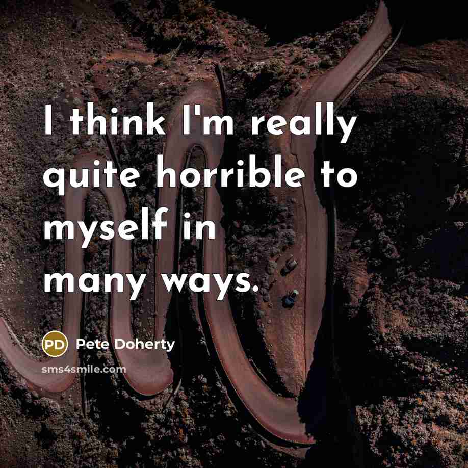 “I think I'm really quite horrible to myself in many…” quote by Pete Doherty