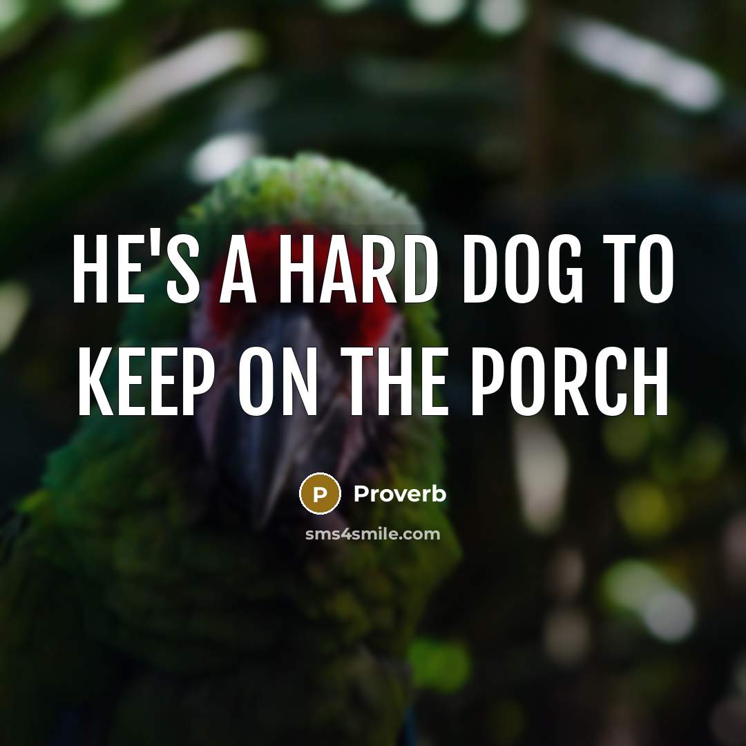 “He's a hard dog to keep on the porch” quote by Proverb