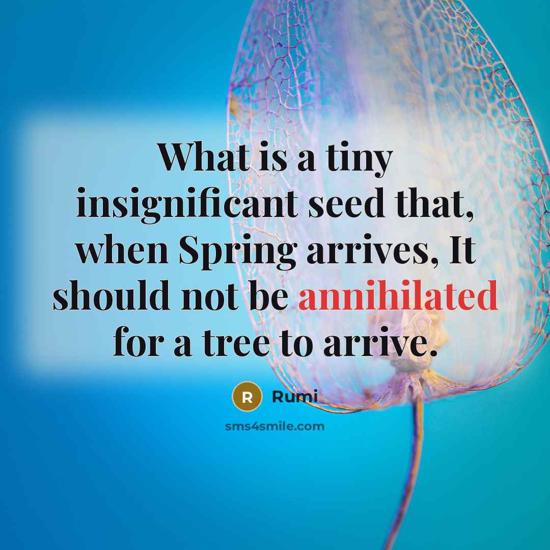 “What is a tiny insignificant seed that, when Spring arrives, It should not be annihilated for a tree to arrive.” quote by Rumi