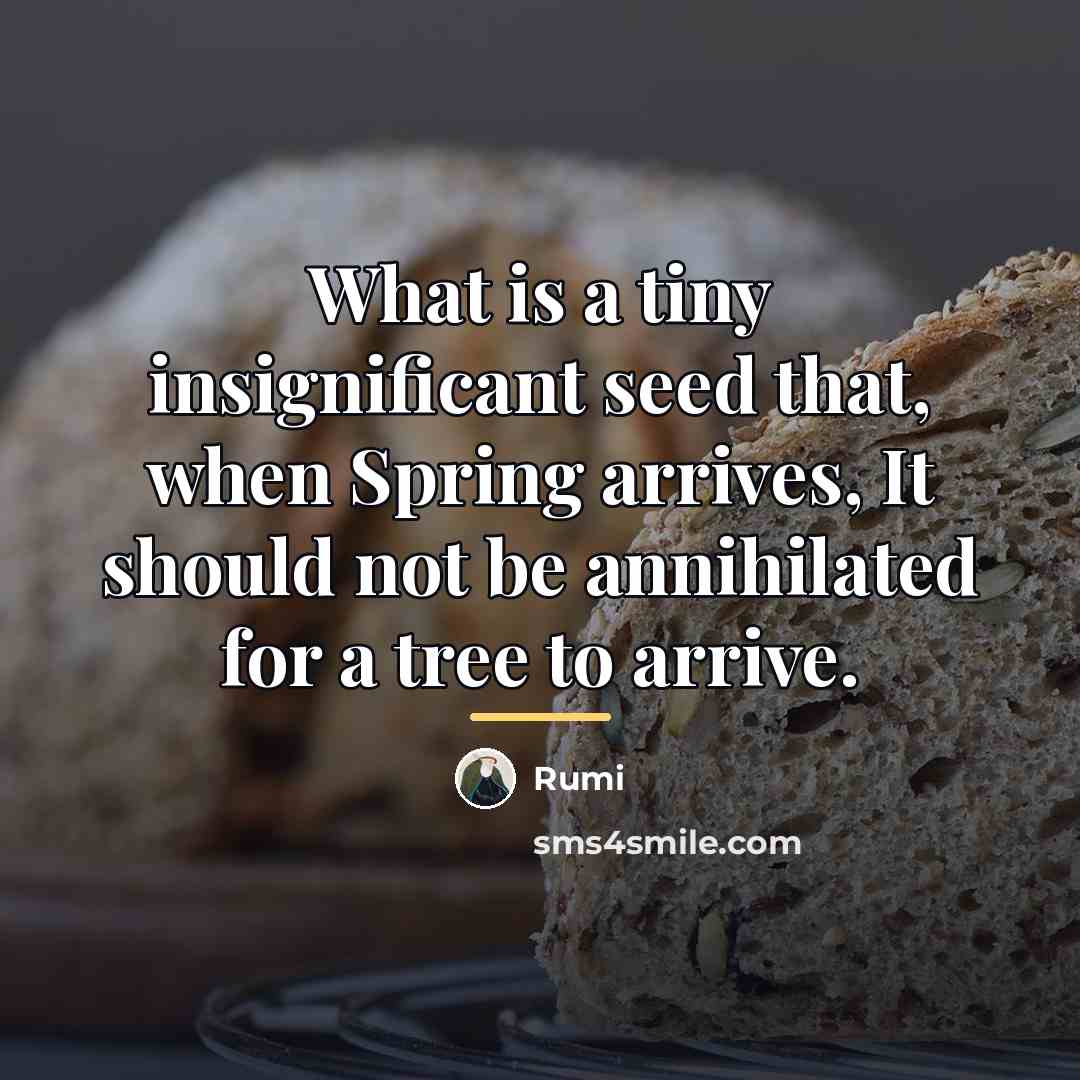 “What is a tiny insignificant seed that, when Spring arrives,…” quote by Rumi