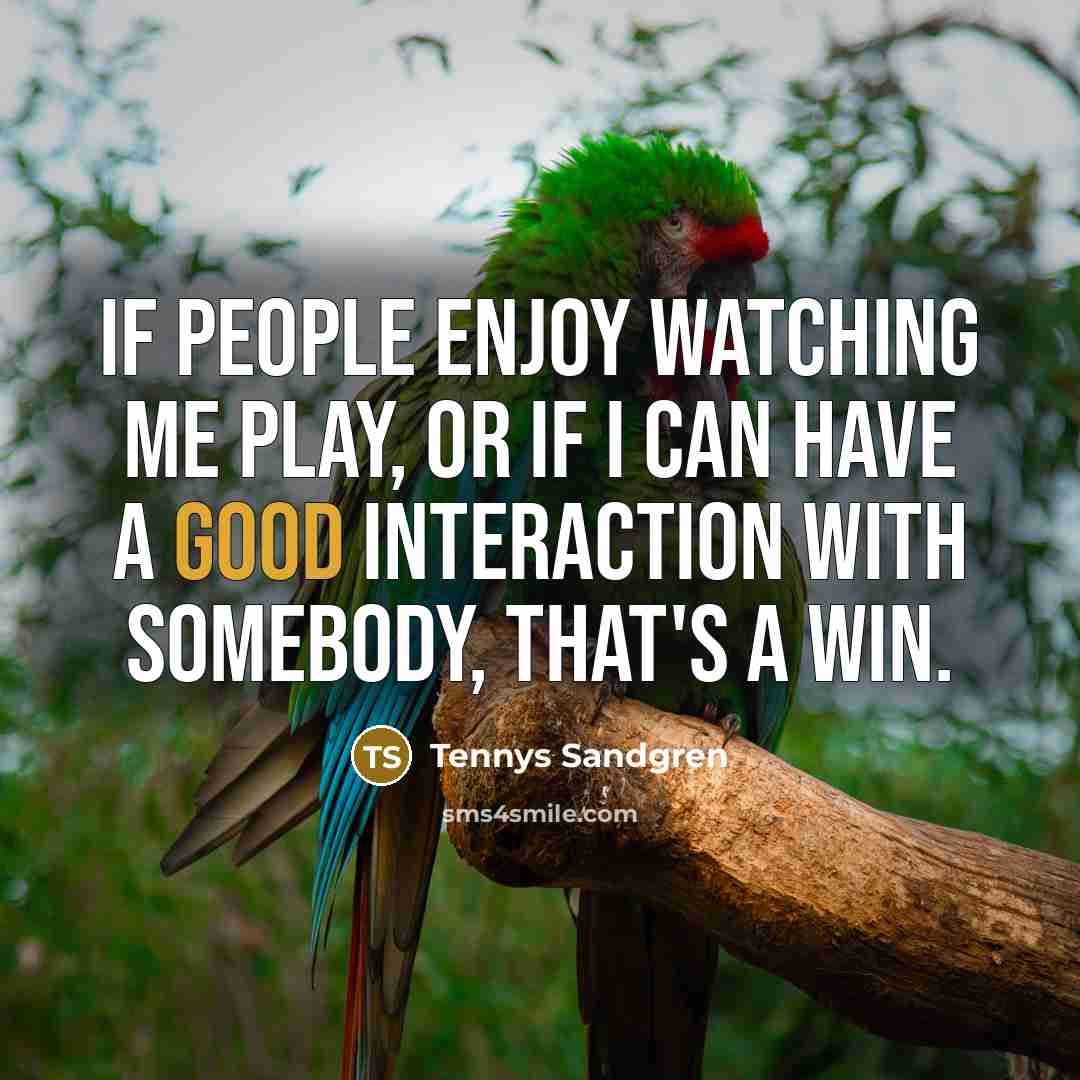 “If people enjoy watching me play, or if I can…” quote by Tennys Sandgren