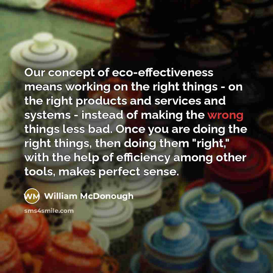 “Our concept of eco-effectiveness means working on the right things…” quote by William McDonough