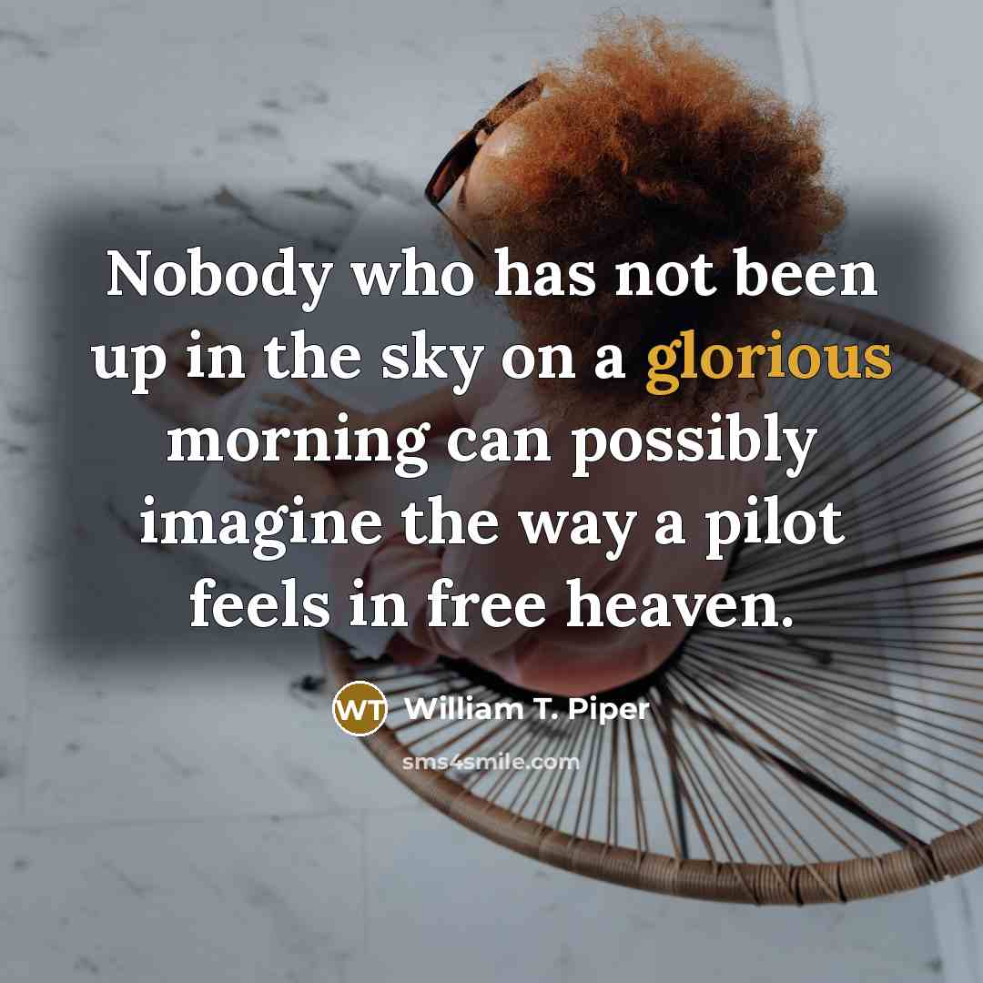 “Nobody who has not been up in the sky on…” quote by William T. Piper