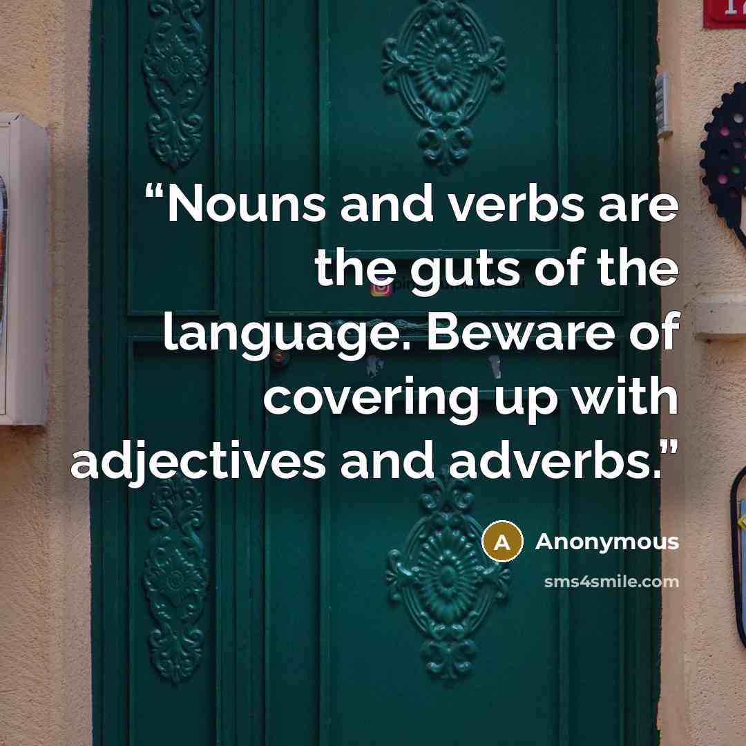 “Nouns and verbs are the guts of the language. Beware of covering up with adjectives and adverbs.” quote by Anonymous