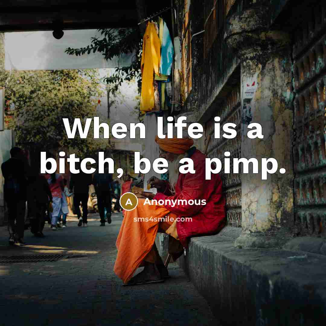 “When life is a bitch, be a pimp.” quote by Anonymous