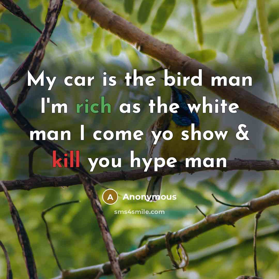 “My car is the bird man I'm rich as the white man I come yo show & kill you hype man” quote by Anonymous