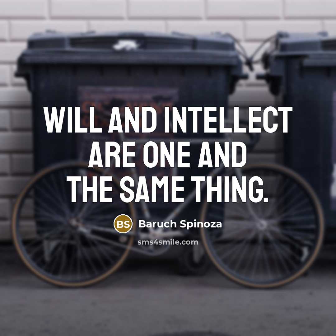 “Will and intellect are one and the same thing.…” quote by Baruch Spinoza