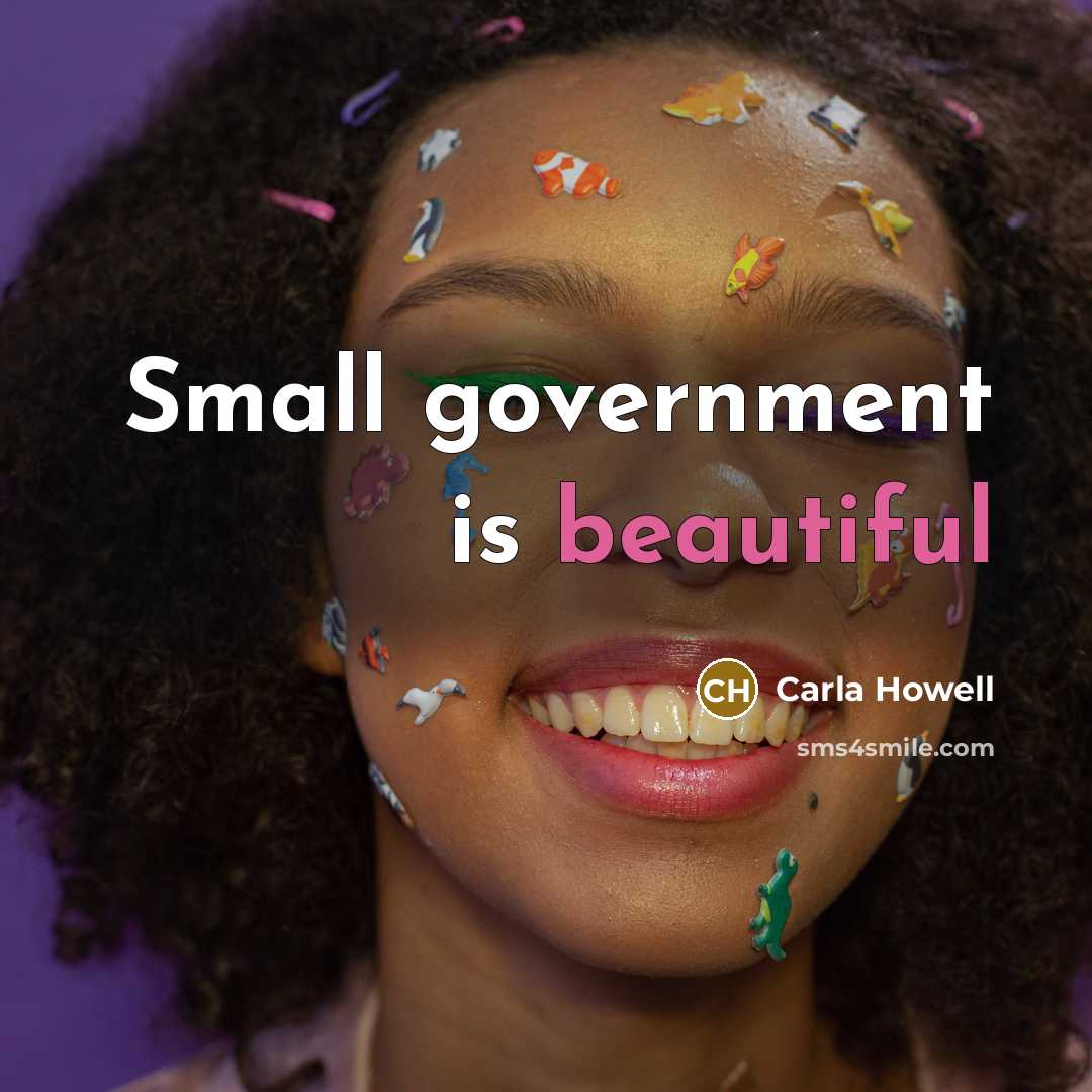 “Small government is beautiful…” quote by Carla Howell