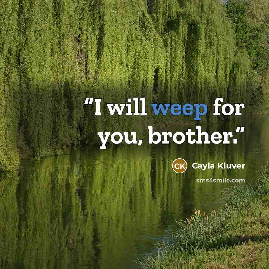 “I will weep for you, brother.” quote by Cayla Kluver