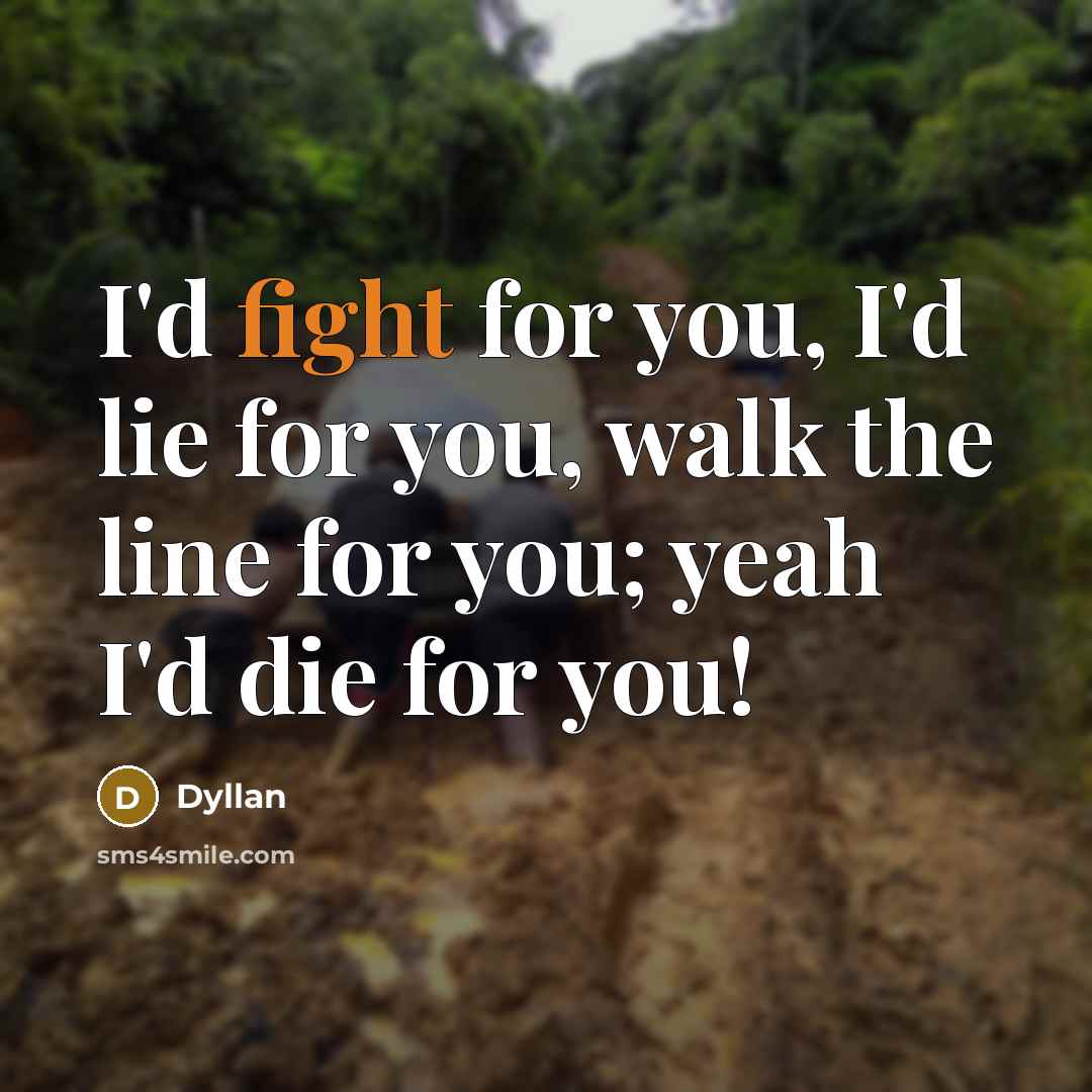 “I'd fight for you, I'd lie for you, walk the…” quote by Dyllan