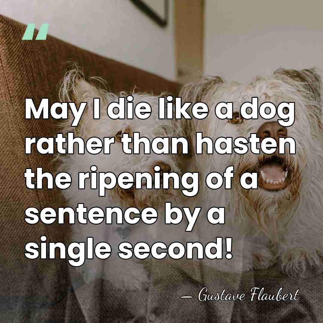 May I die like a dog rather than hasten the ripening of&hellip; - Gustave Flaubert