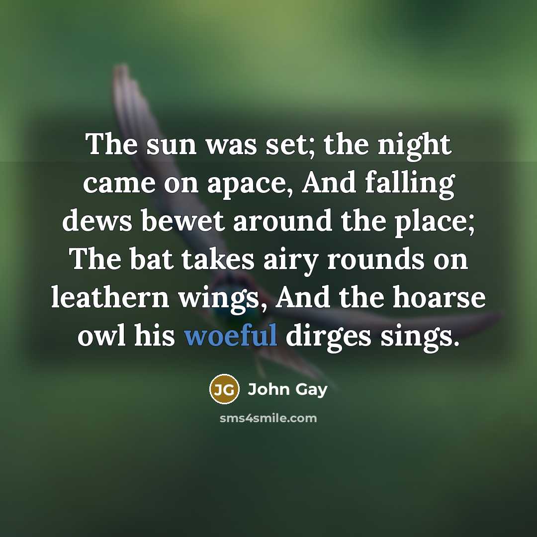 “The sun was set; the night came on apace, And…” quote by John Gay