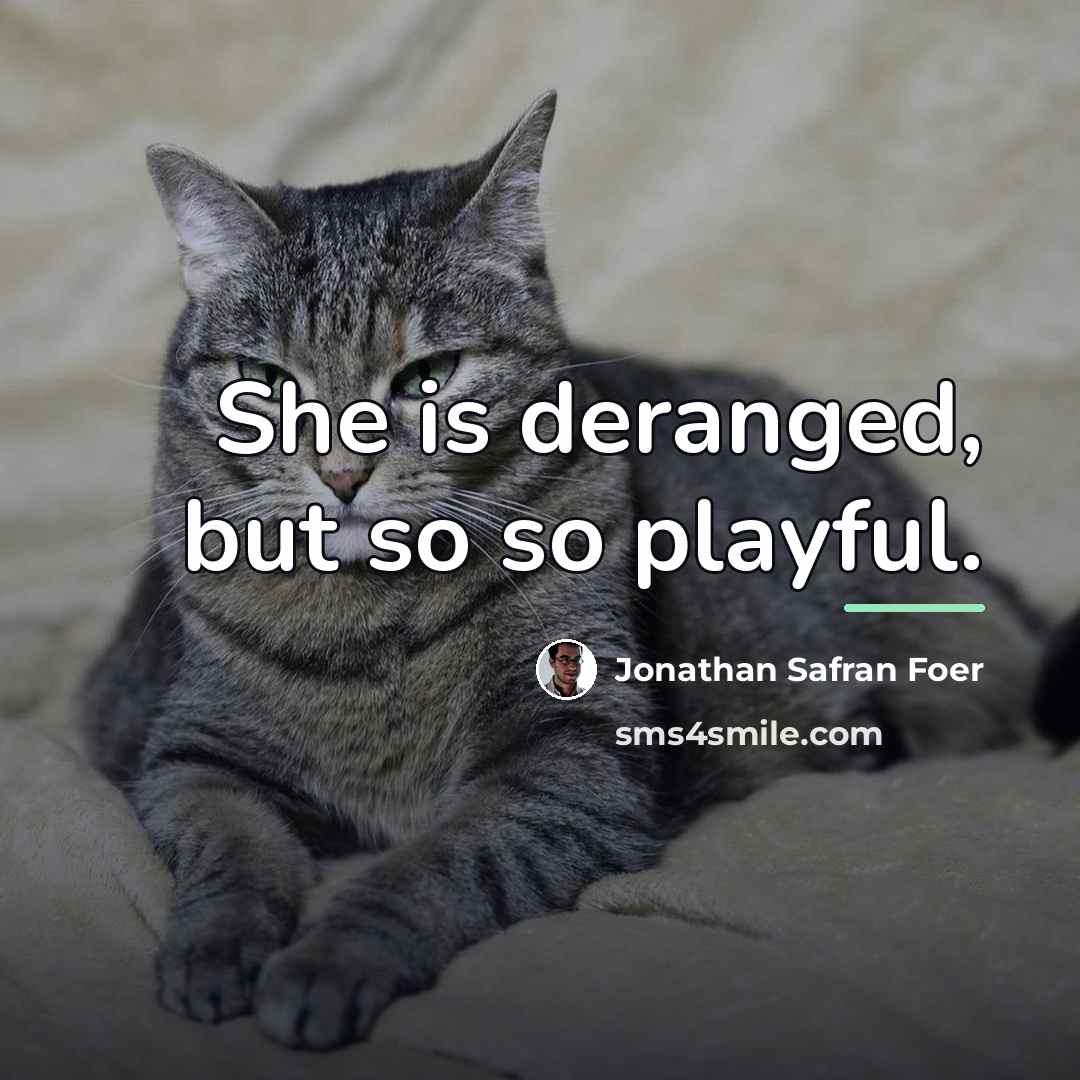 “She is deranged, but so so playful.…” quote by Jonathan Safran Foer