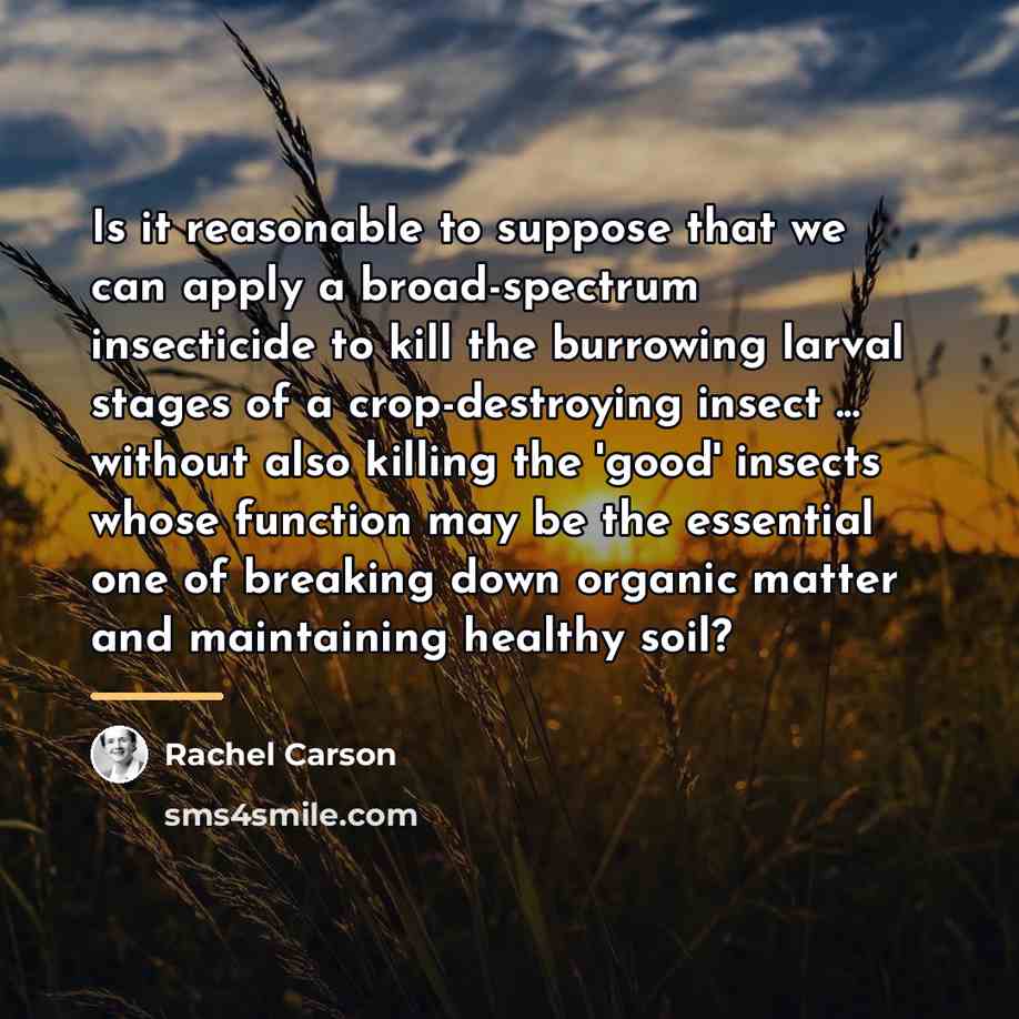 “Is it reasonable to suppose that we can apply a…” quote by Rachel Carson