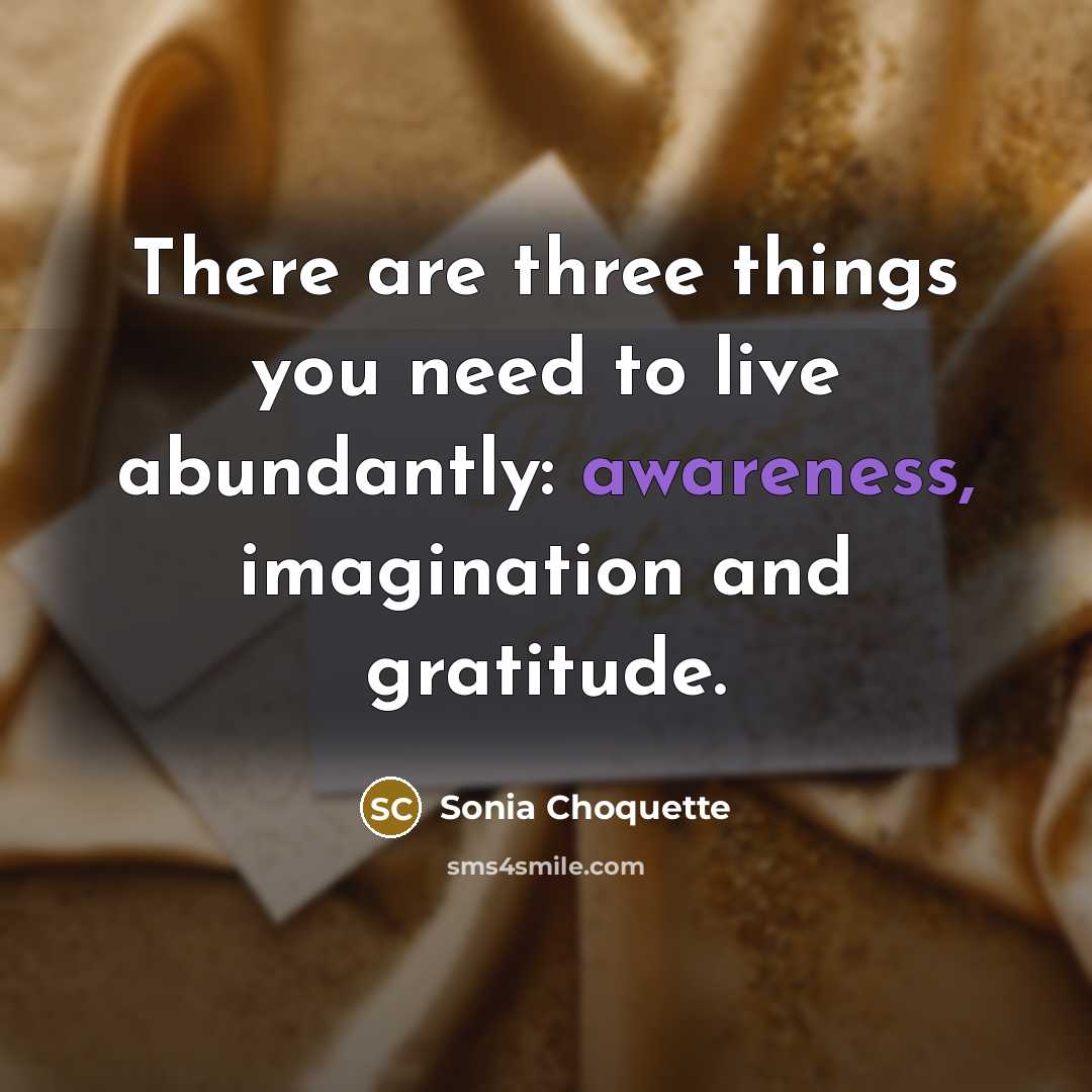 “There are three things you need to live abundantly: awareness,…” quote by Sonia Choquette