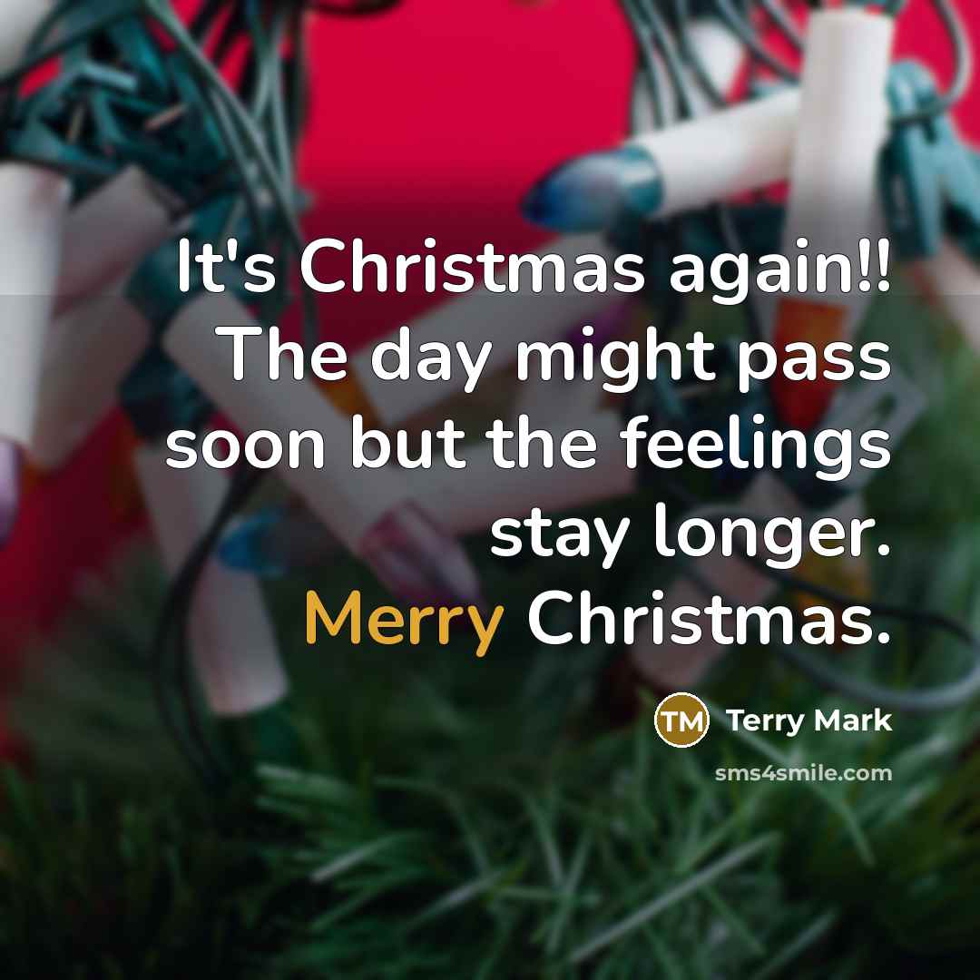 “It's Christmas again!! The day might pass soon but the…” quote by Terry Mark
