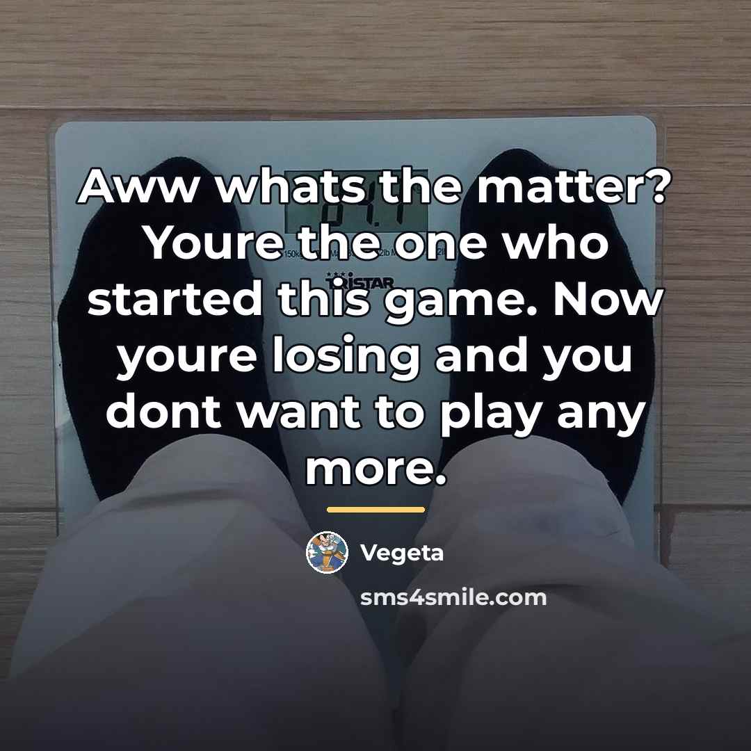 “Aww whats the matter? Youre the one who started this…” quote by Vegeta