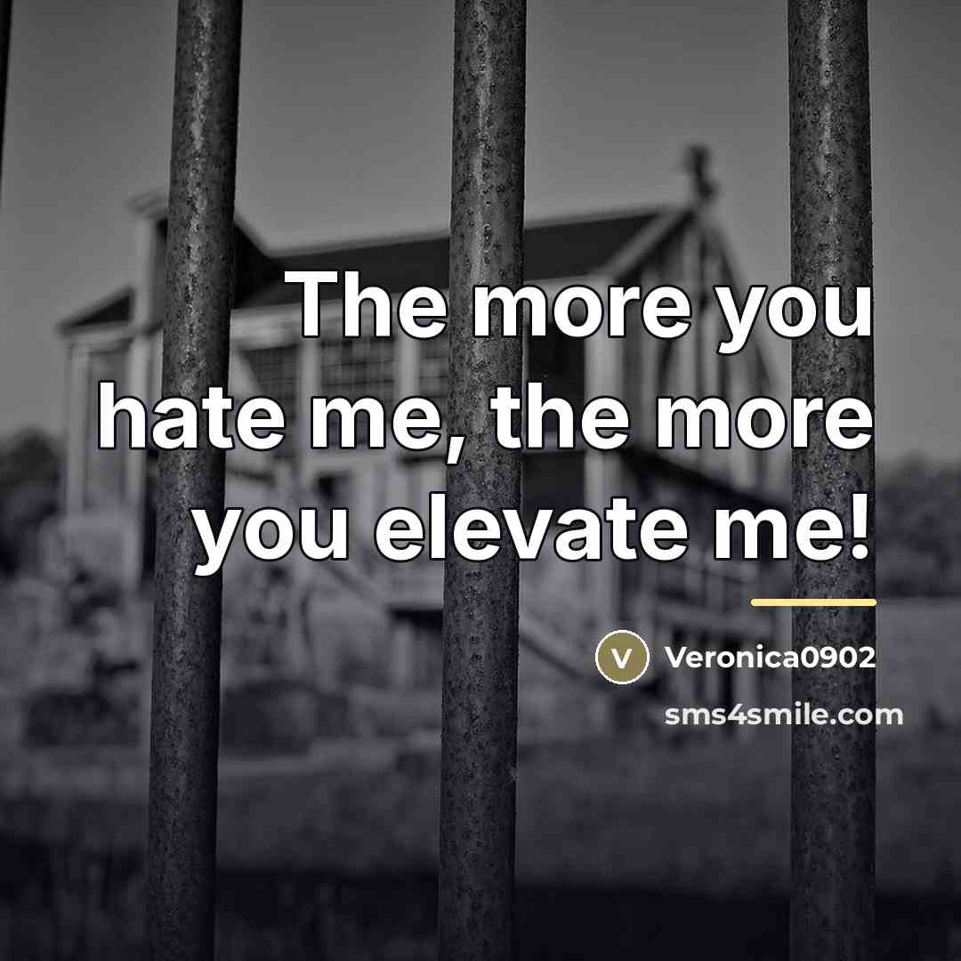 “The more you hate me, the more you elevate me!…” quote by Veronica0902