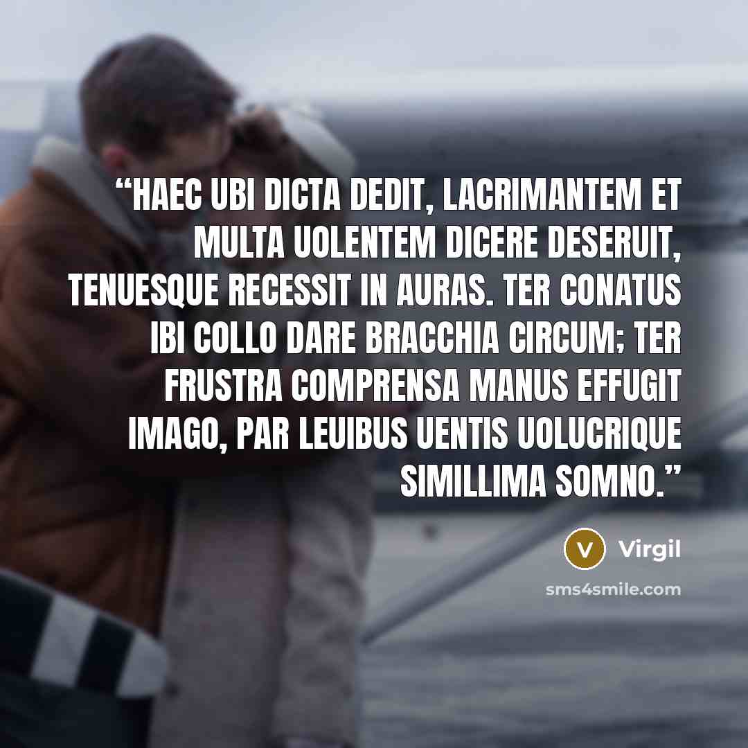“Haec ubi dicta dedit, lacrimantem et multa uolentem dicere deseruit, tenuesque recessit in auras. Ter conatus ibi collo dare bracchia circum; ter frustra comprensa manus effugit imago, par leuibus uentis uolucrique simillima somno.” quote by Virgil
