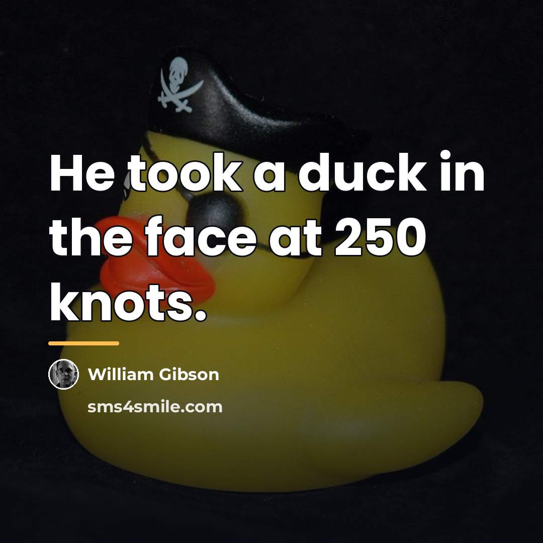 “He took a duck in the face at 250 knots.…” quote by William Gibson