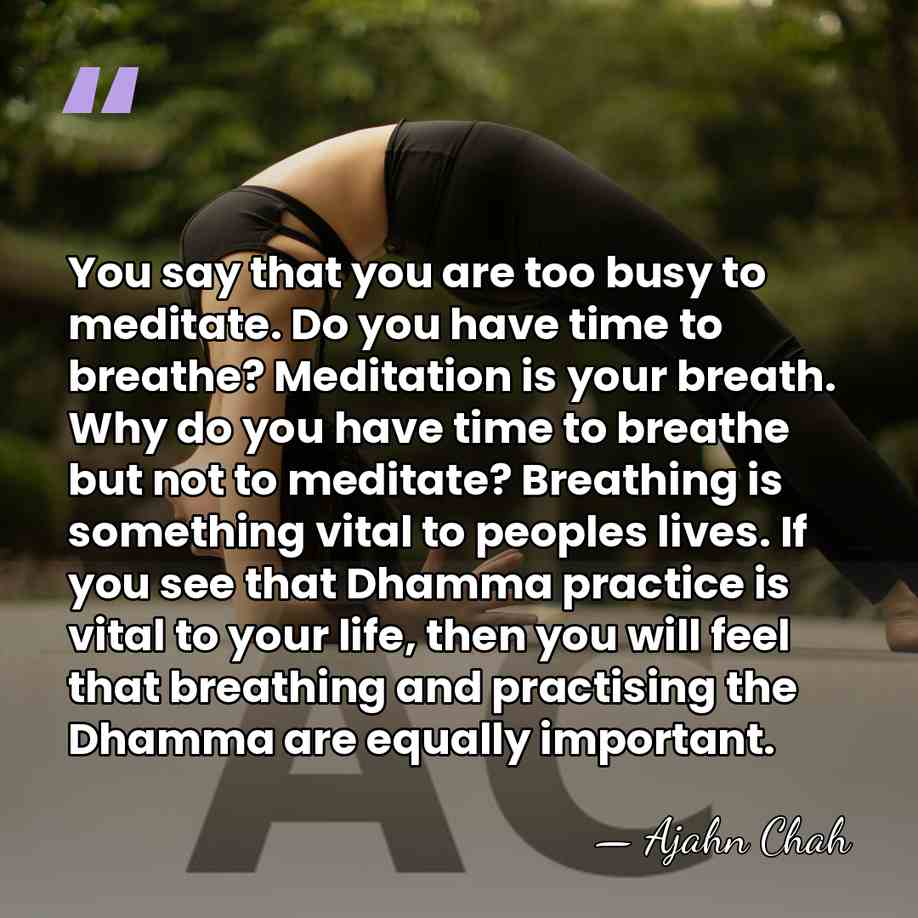 You say that you are too busy to meditate. Do you have&hellip; - Ajahn Chah