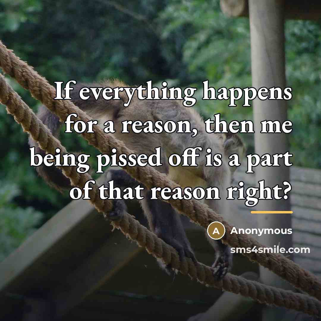 “If everything happens for a reason, then me being pissed…” quote by Anonymous