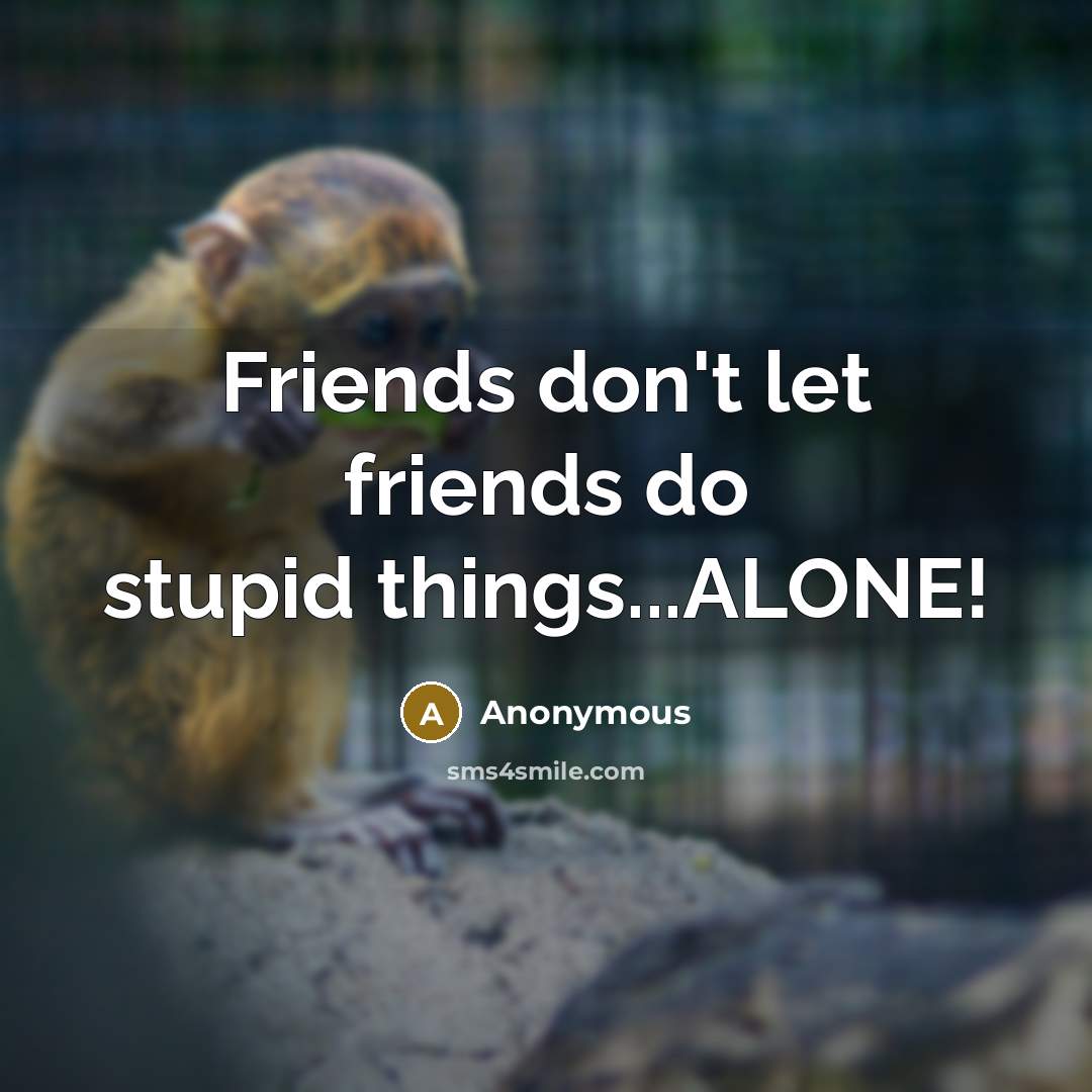 “Friends don't let friends do stupid things...ALONE!…” quote by Anonymous