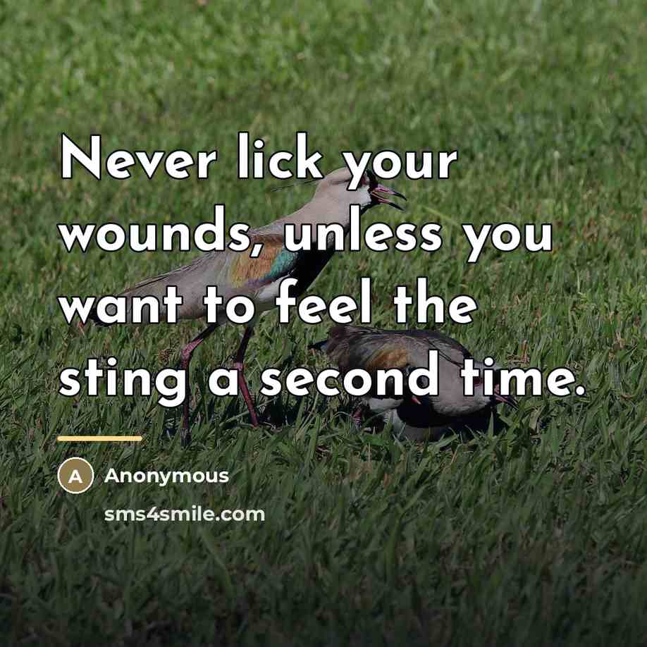 “Never lick your wounds, unless you want to feel the…” quote by Anonymous