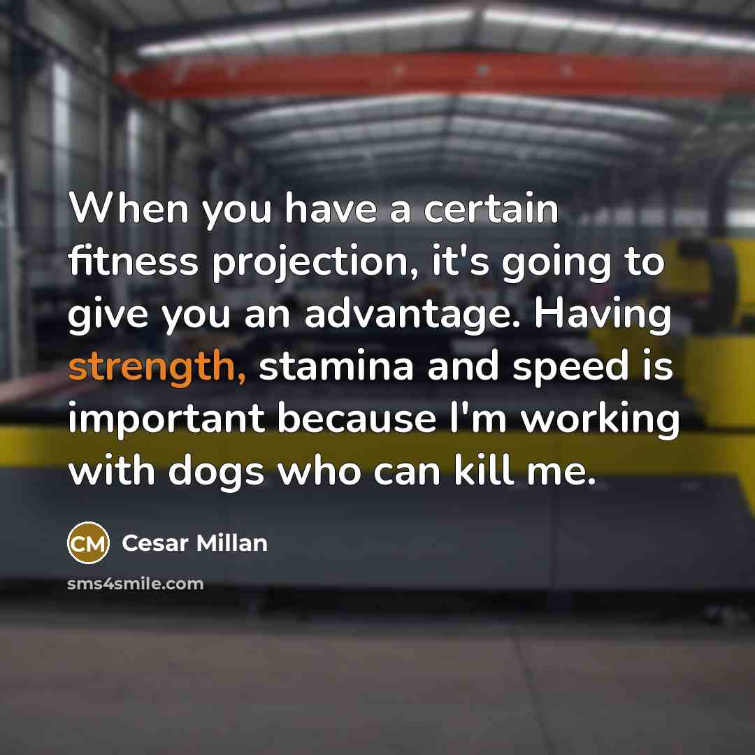“When you have a certain fitness projection, it's going to…” quote by Cesar Millan