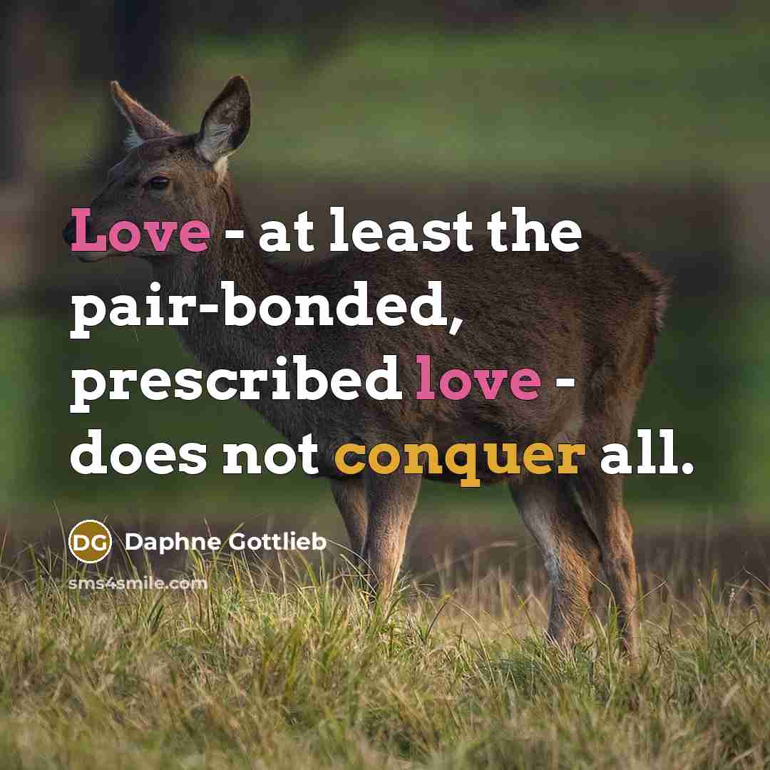 “Love - at least the pair-bonded, prescribed love - does not conquer all.” quote by Daphne Gottlieb