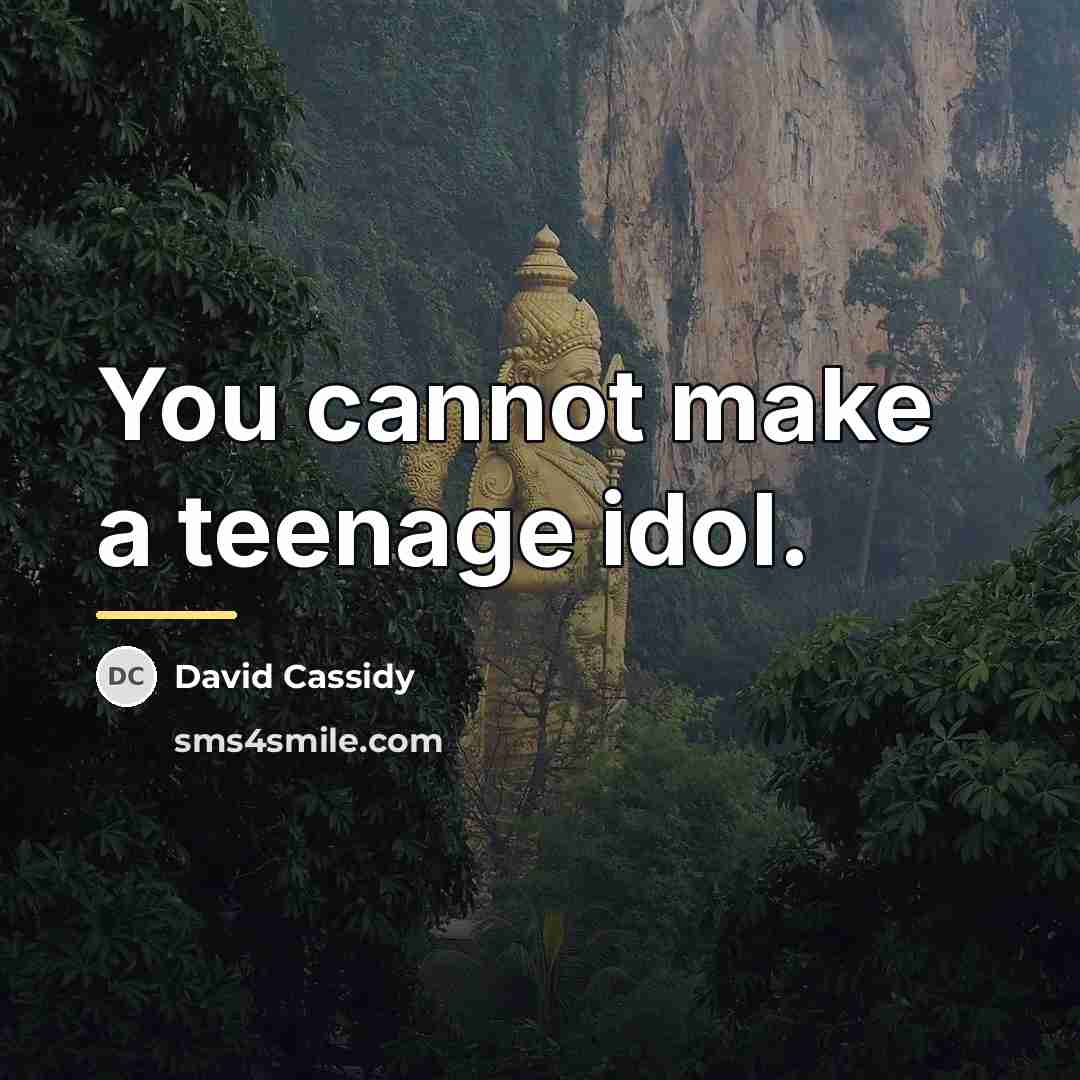 “You cannot make a teenage idol.…” quote by David Cassidy
