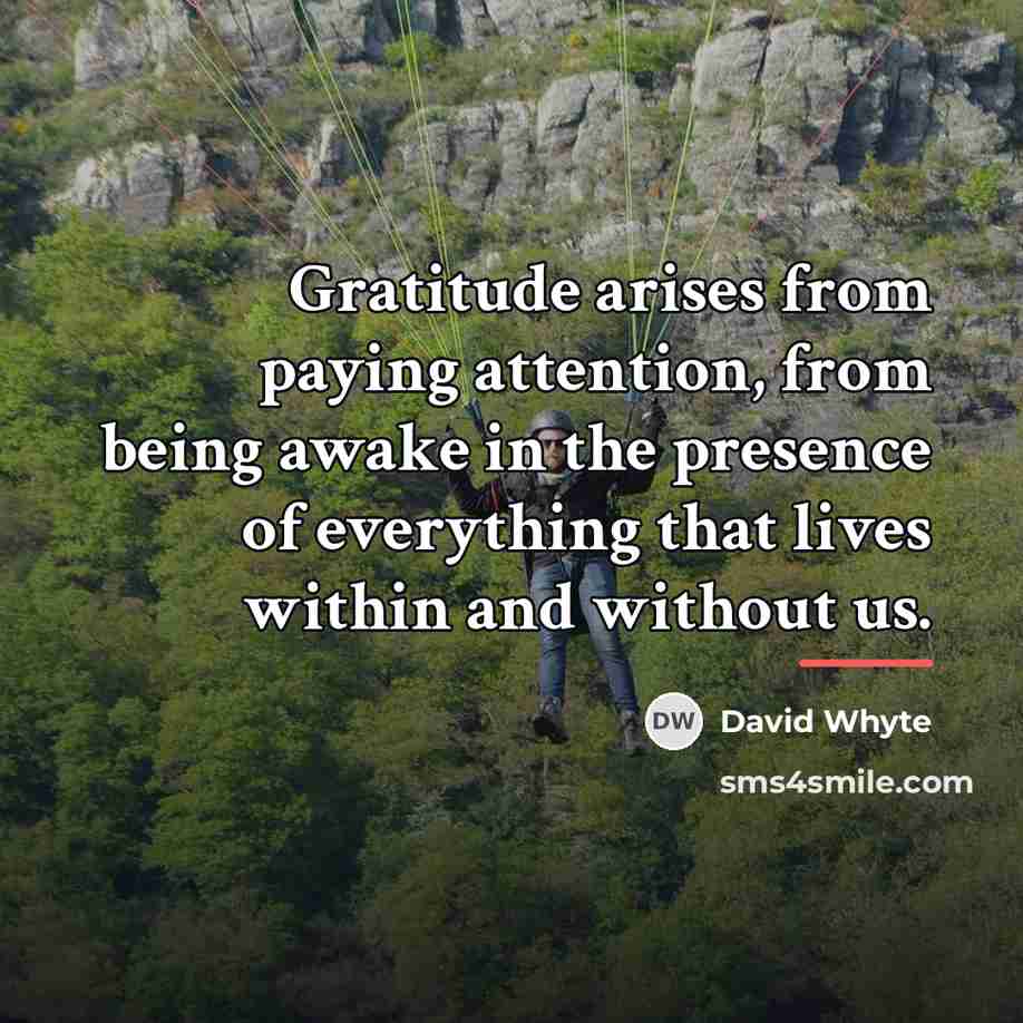 “Gratitude arises from paying attention, from being awake in the…” quote by David Whyte