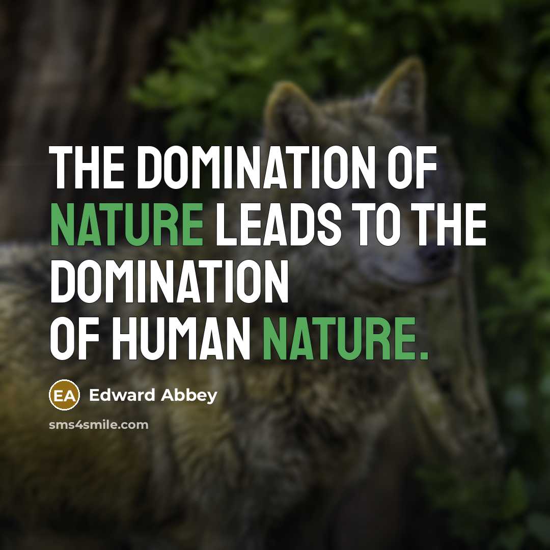 “The domination of nature leads to the domination of human…” quote by Edward Abbey