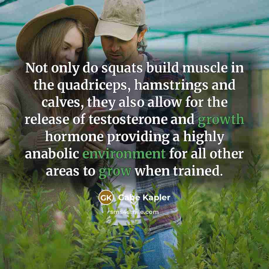 “Not only do squats build muscle in the quadriceps, hamstrings and calves, they also allow for the release of testosterone and growth hormone providing a highly anabolic environment for all other areas to grow when trained.” quote by Gabe Kapler