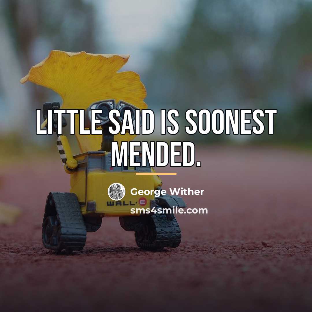 “Little said is soonest mended.…” quote by George Wither