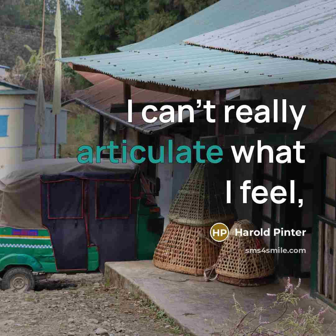“I can't really articulate what I feel,…” quote by Harold Pinter