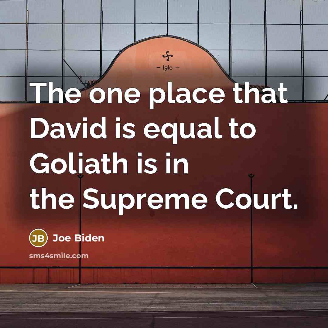 “The one place that David is equal to Goliath is…” quote by Joe Biden