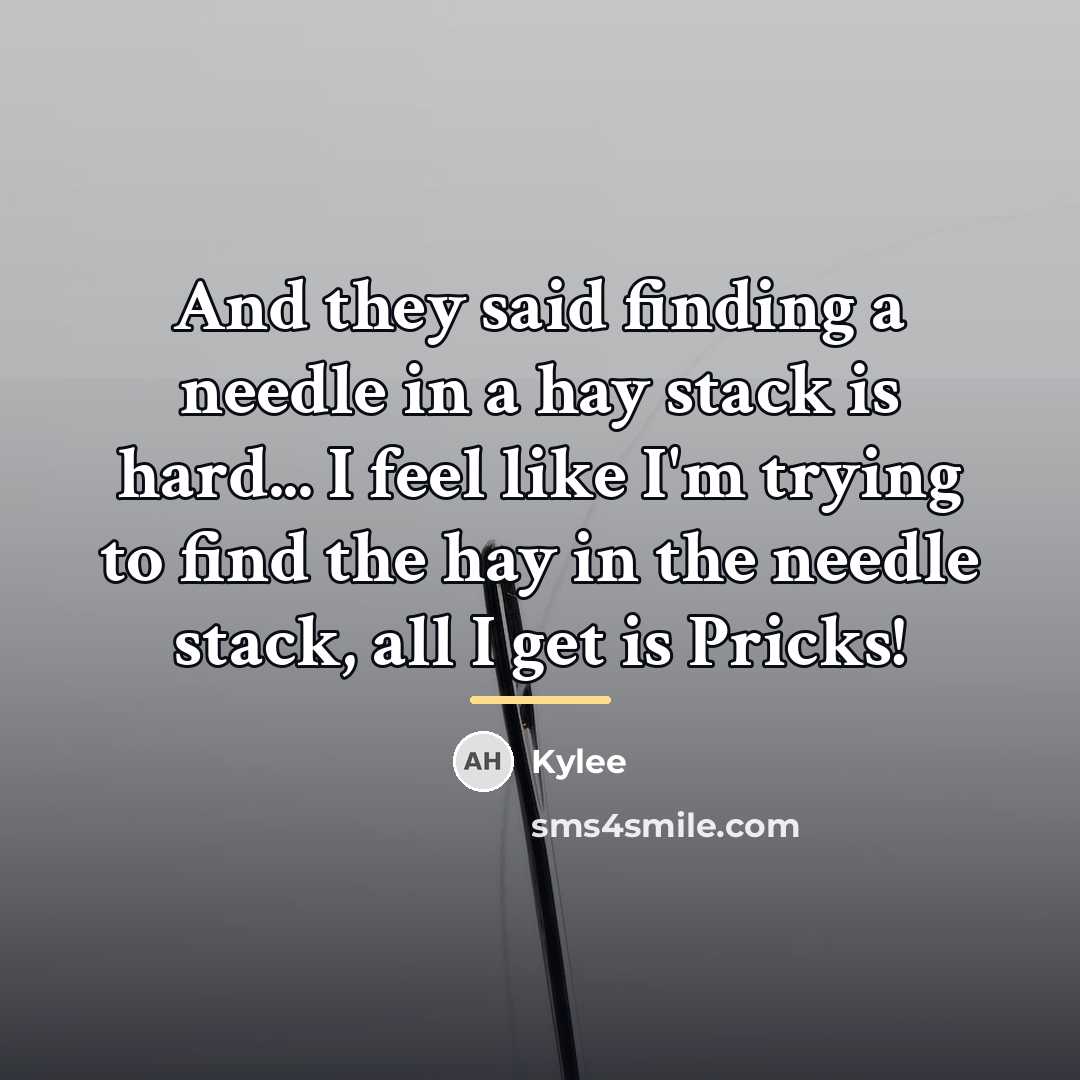 “And they said finding a needle in a hay stack…” quote by Kylee