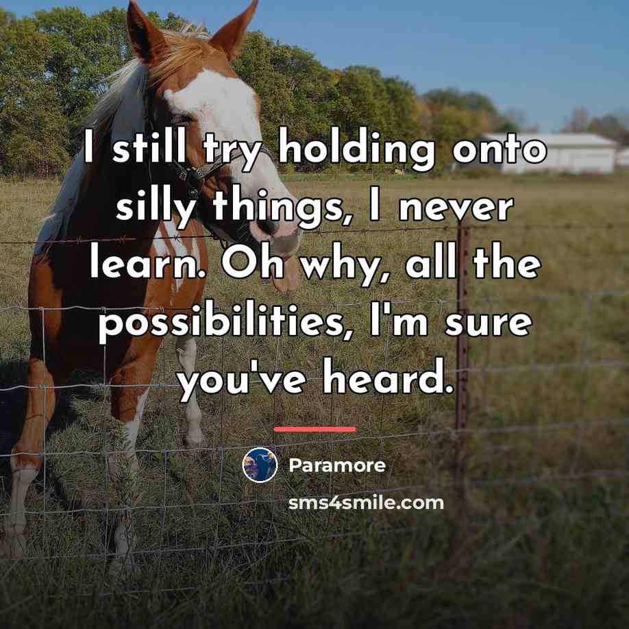 “I still try holding onto silly things, I never learn.…” quote by Paramore