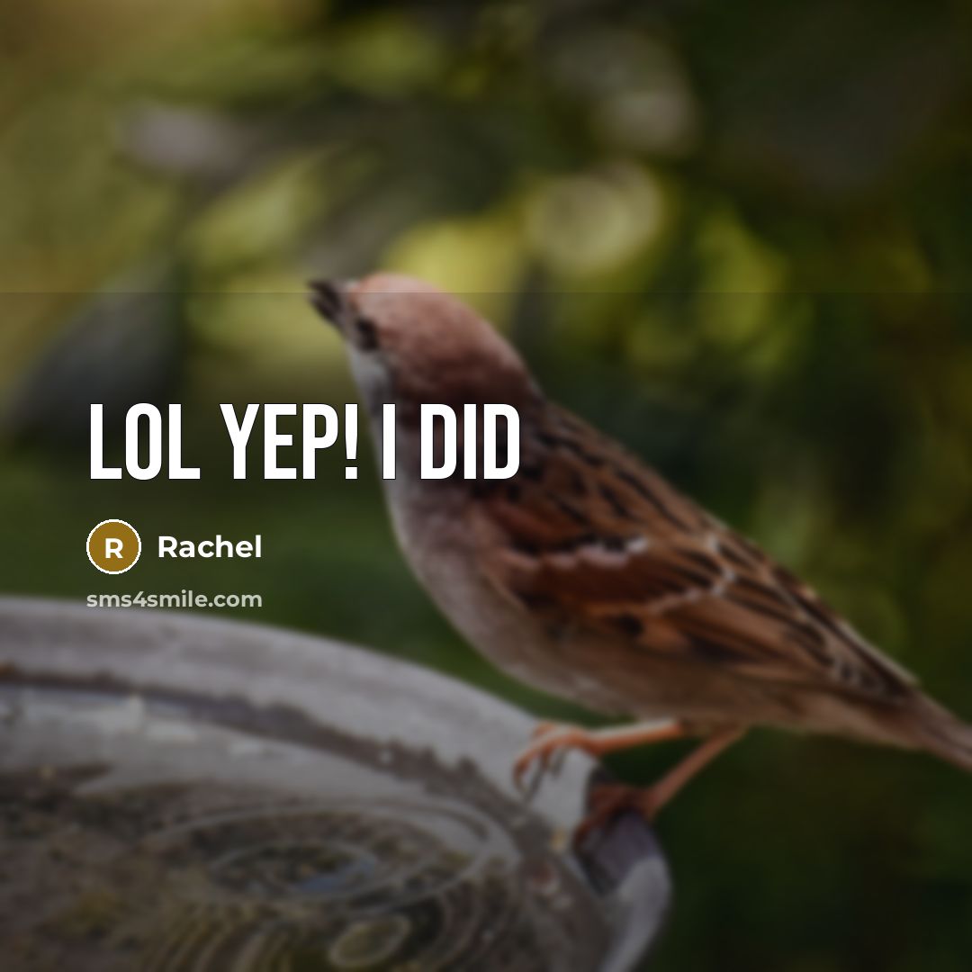 “Lol Yep! I did” quote by Rachel