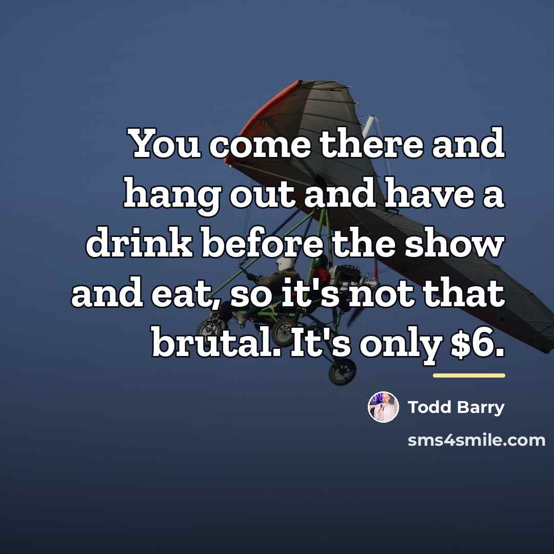 “You come there and hang out and have a drink…” quote by Todd Barry