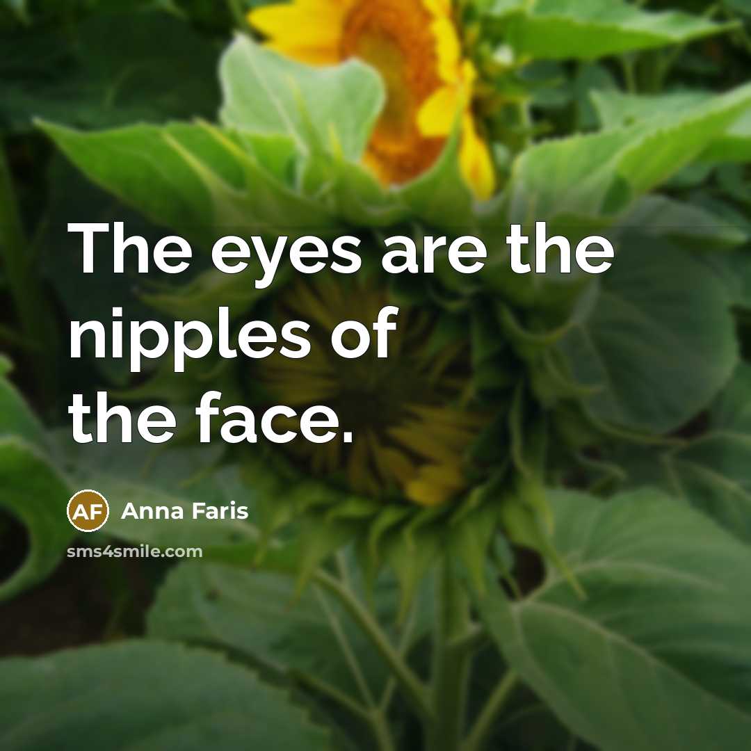“The eyes are the nipples of the face.…” quote by Anna Faris