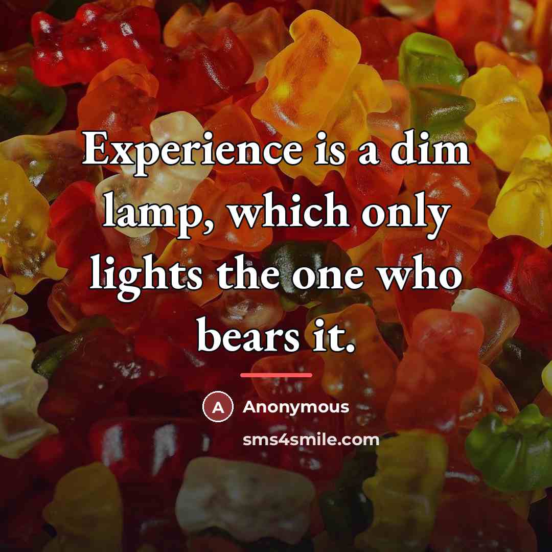 “Experience is a dim lamp, which only lights the one…” quote by Anonymous